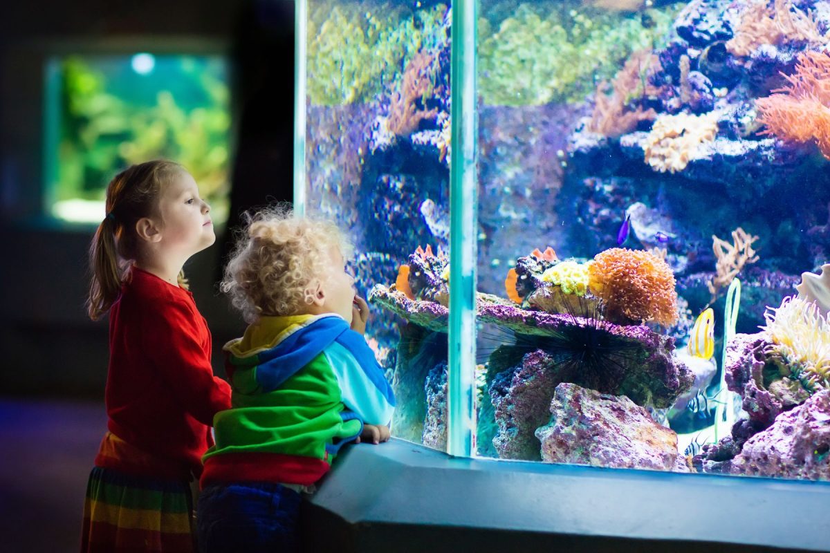 Local aquariums near Emerald Isle